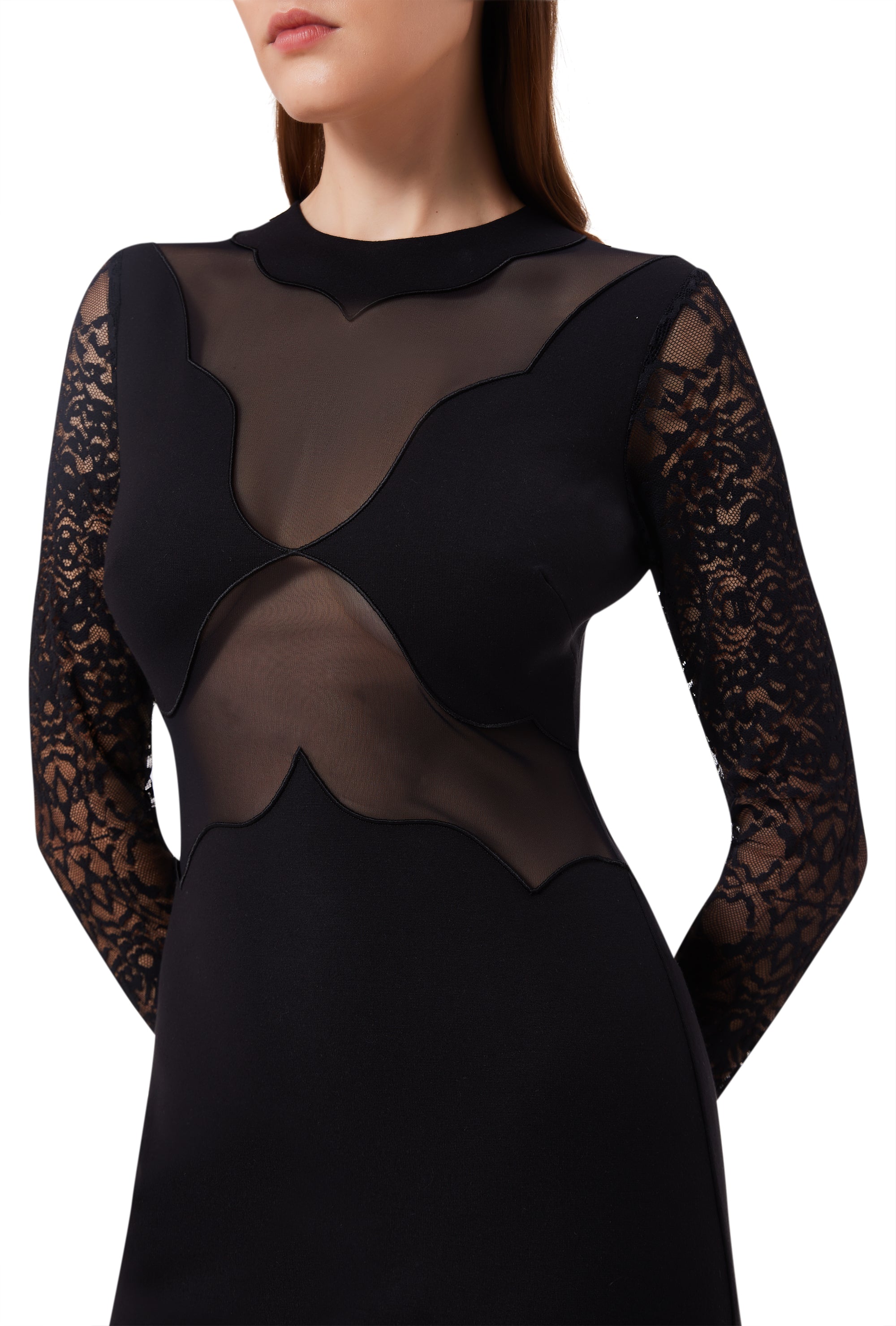 Anima Long Sleeve Mesh Dress